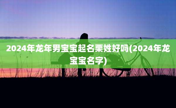 2024年龙年男宝宝起名栗姓好吗(2024年龙宝宝名字)