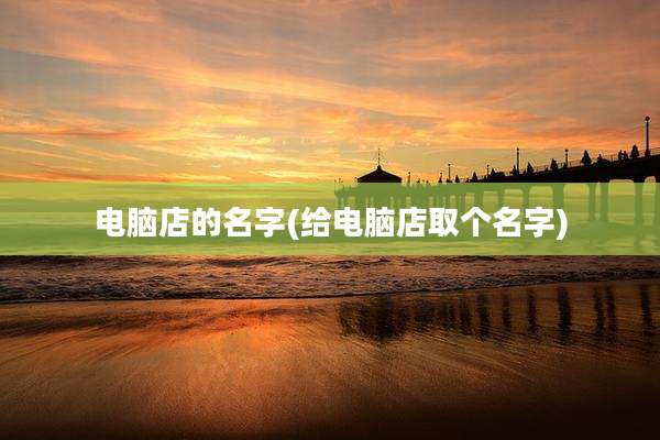 电脑店的名字(给电脑店取个名字)