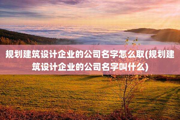 规划建筑设计企业的公司名字怎么取(规划建筑设计企业的公司名字叫什么)