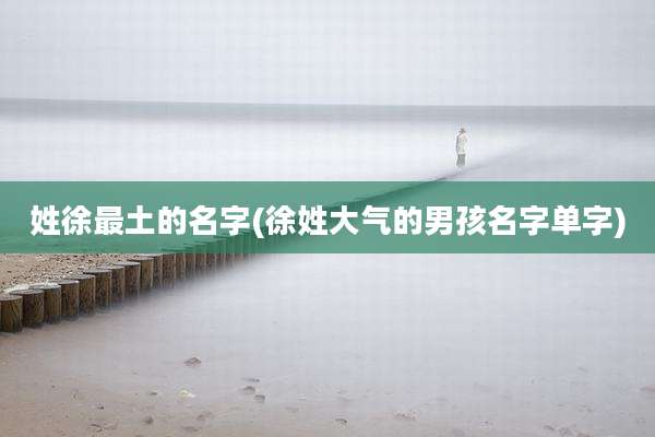 姓徐最土的名字(徐姓大气的男孩名字单字)