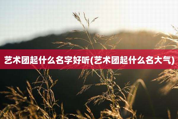 艺术团起什么名字好听(艺术团起什么名大气)