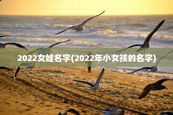2022女娃名字(2022年小女孩的名字)