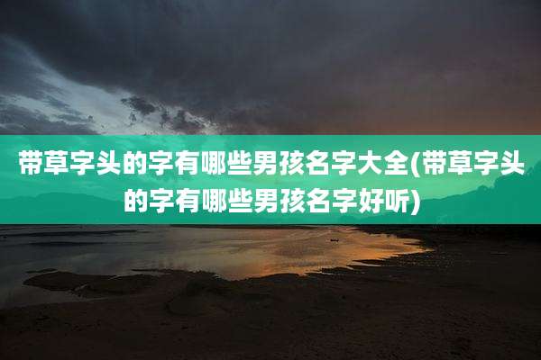 带草字头的字有哪些男孩名字大全(带草字头的字有哪些男孩名字好听)