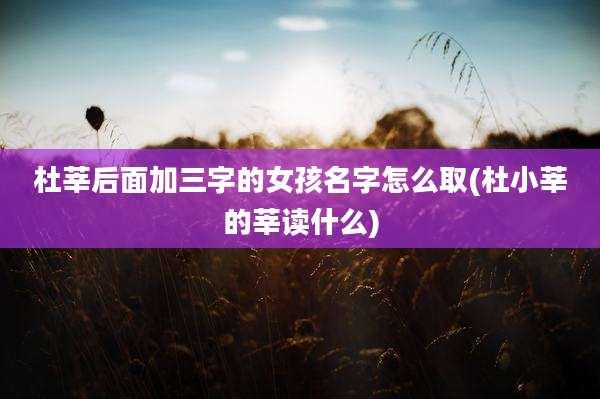 杜莘后面加三字的女孩名字怎么取(杜小莘的莘读什么)