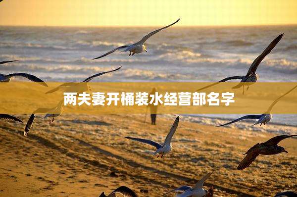 两夫妻开桶装水经营部名字