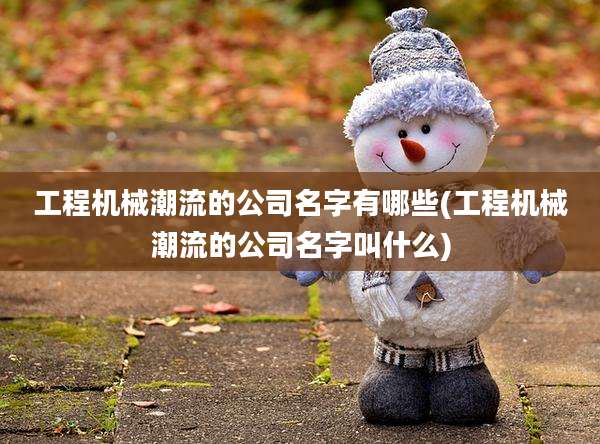 工程机械潮流的公司名字有哪些(工程机械潮流的公司名字叫什么)