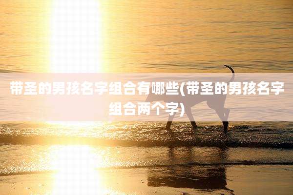 带圣的男孩名字组合有哪些(带圣的男孩名字组合两个字)
