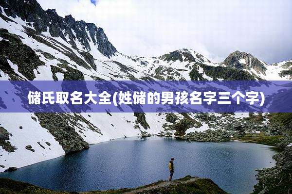 储氏取名大全(姓储的男孩名字三个字)