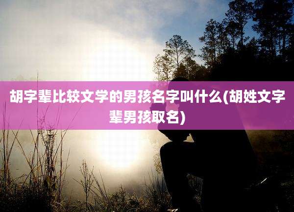 胡字辈比较文学的男孩名字叫什么(胡姓文字辈男孩取名)