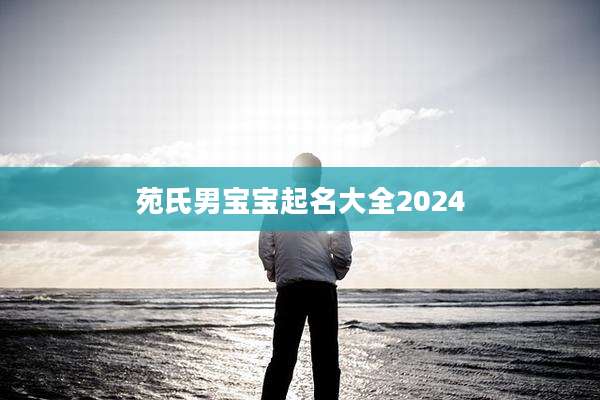 苑氏男宝宝起名大全2024