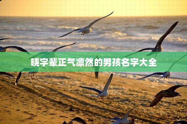 晓字辈正气凛然的男孩名字大全