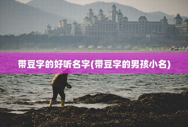 带豆字的好听名字(带豆字的男孩小名)