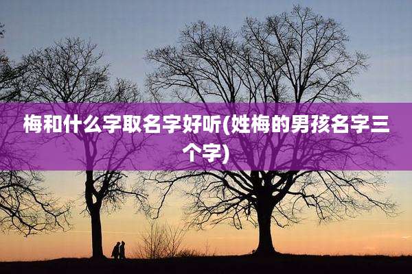 梅和什么字取名字好听(姓梅的男孩名字三个字)