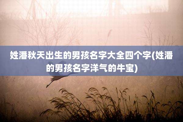 姓潘秋天出生的男孩名字大全四个字(姓潘的男孩名字洋气的牛宝)