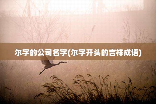 尔字的公司名字(尔字开头的吉祥成语)