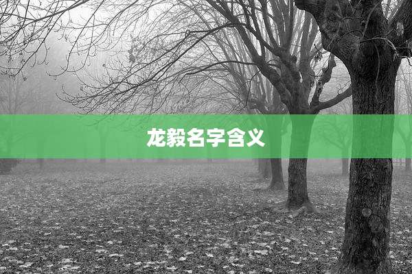 龙毅名字含义