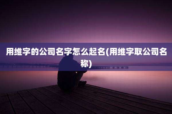 用维字的公司名字怎么起名(用维字取公司名称)