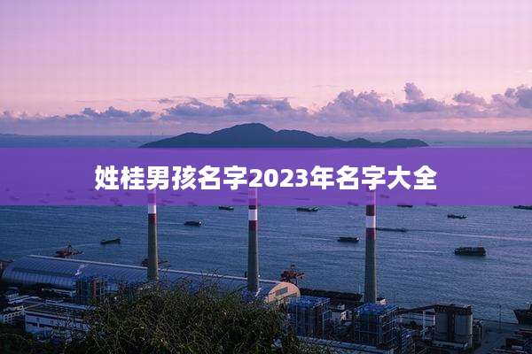 姓桂男孩名字2023年名字大全