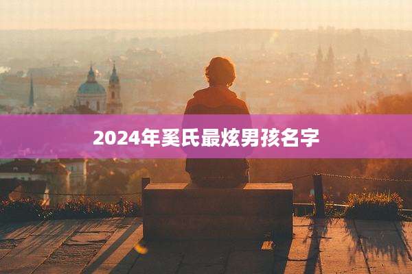 2024年奚氏最炫男孩名字