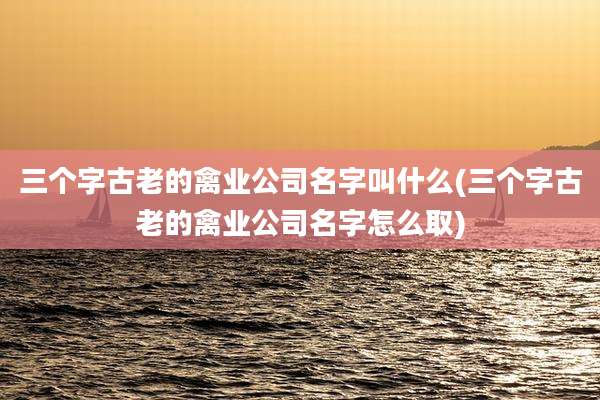 三个字古老的禽业公司名字叫什么(三个字古老的禽业公司名字怎么取)