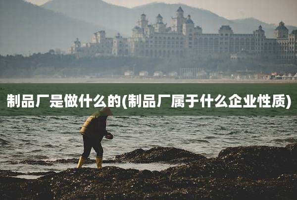 制品厂是做什么的(制品厂属于什么企业性质)