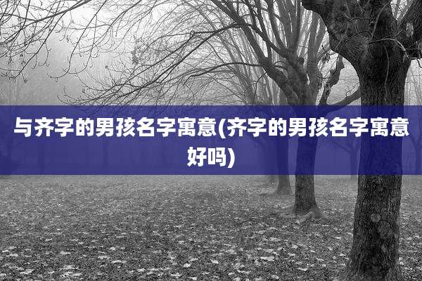 与齐字的男孩名字寓意(齐字的男孩名字寓意好吗)