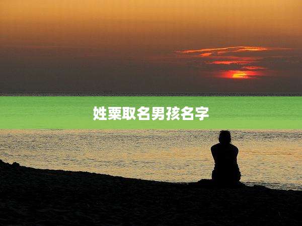 姓粟取名男孩名字