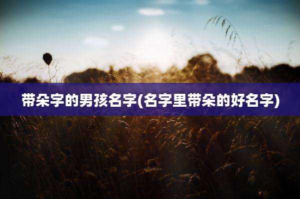 带朵字的男孩名字(名字里带朵的好名字)