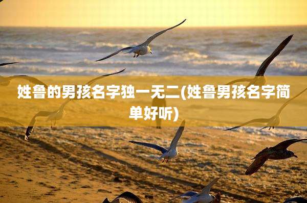 姓鲁的男孩名字独一无二(姓鲁男孩名字简单好听)