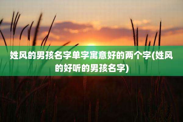 姓风的男孩名字单字寓意好的两个字(姓风的好听的男孩名字)