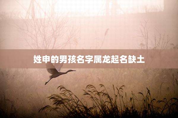 姓申的男孩名字属龙起名缺土