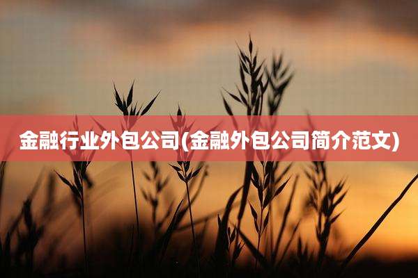 金融行业外包公司(金融外包公司简介范文)