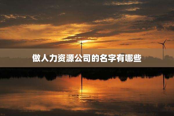 做人力资源公司的名字有哪些
