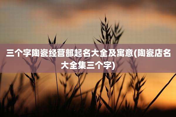 三个字陶瓷经营部起名大全及寓意(陶瓷店名大全集三个字)