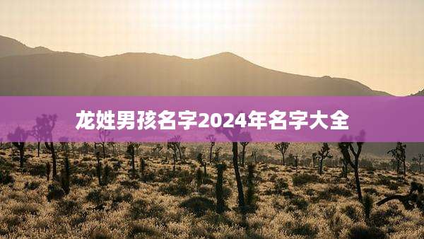 龙姓男孩名字2024年名字大全