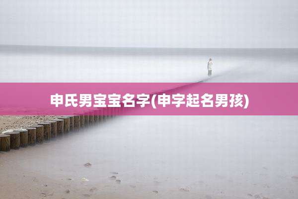 申氏男宝宝名字(申字起名男孩)
