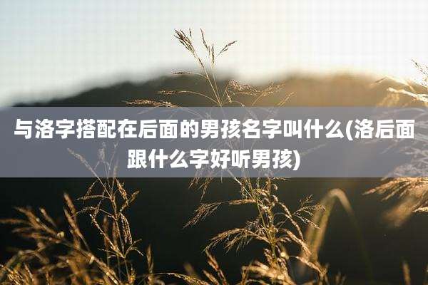 与洛字搭配在后面的男孩名字叫什么(洛后面跟什么字好听男孩)
