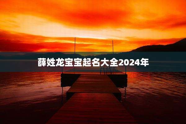 薛姓龙宝宝起名大全2024年