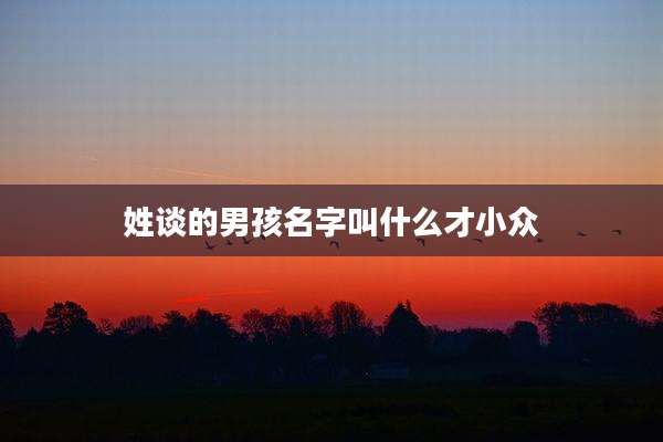姓谈的男孩名字叫什么才小众