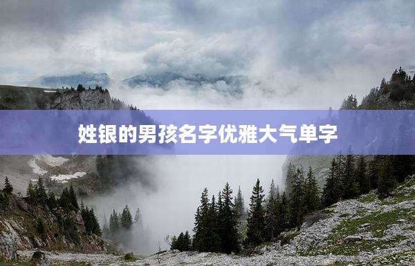 姓银的男孩名字优雅大气单字