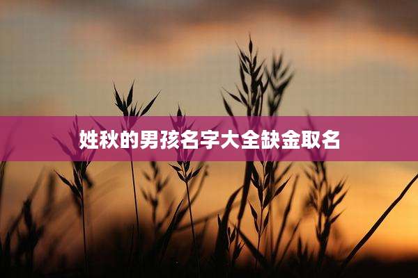 姓秋的男孩名字大全缺金取名