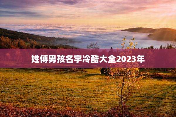 姓傅男孩名字冷酷大全2023年