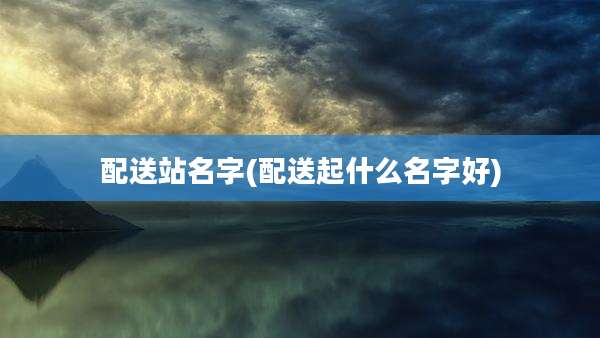 配送站名字(配送起什么名字好)