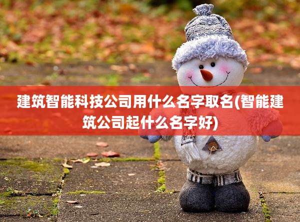建筑智能科技公司用什么名字取名(智能建筑公司起什么名字好)