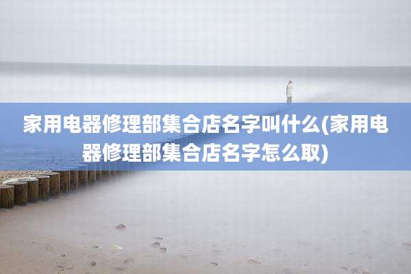 家用电器修理部集合店名字叫什么(家用电器修理部集合店名字怎么取)