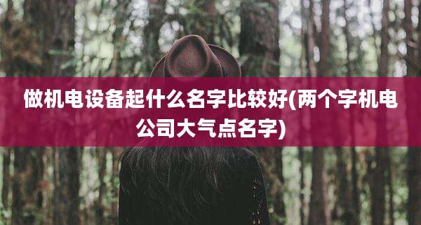 做机电设备起什么名字比较好(两个字机电公司大气点名字)