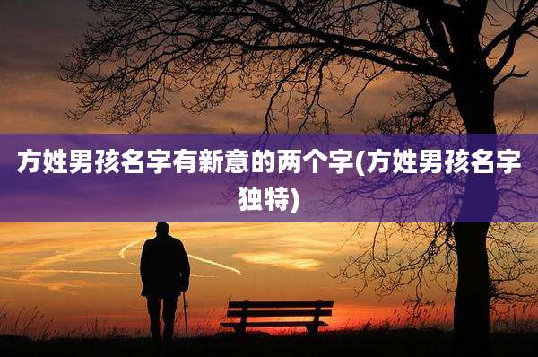 方姓男孩名字有新意的两个字(方姓男孩名字独特)