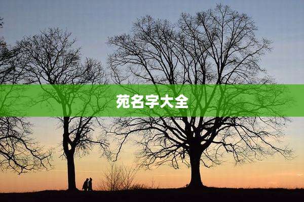 苑名字大全