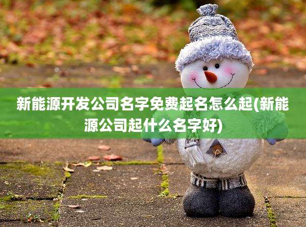 新能源开发公司名字免费起名怎么起(新能源公司起什么名字好)