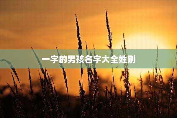 一字的男孩名字大全姓别